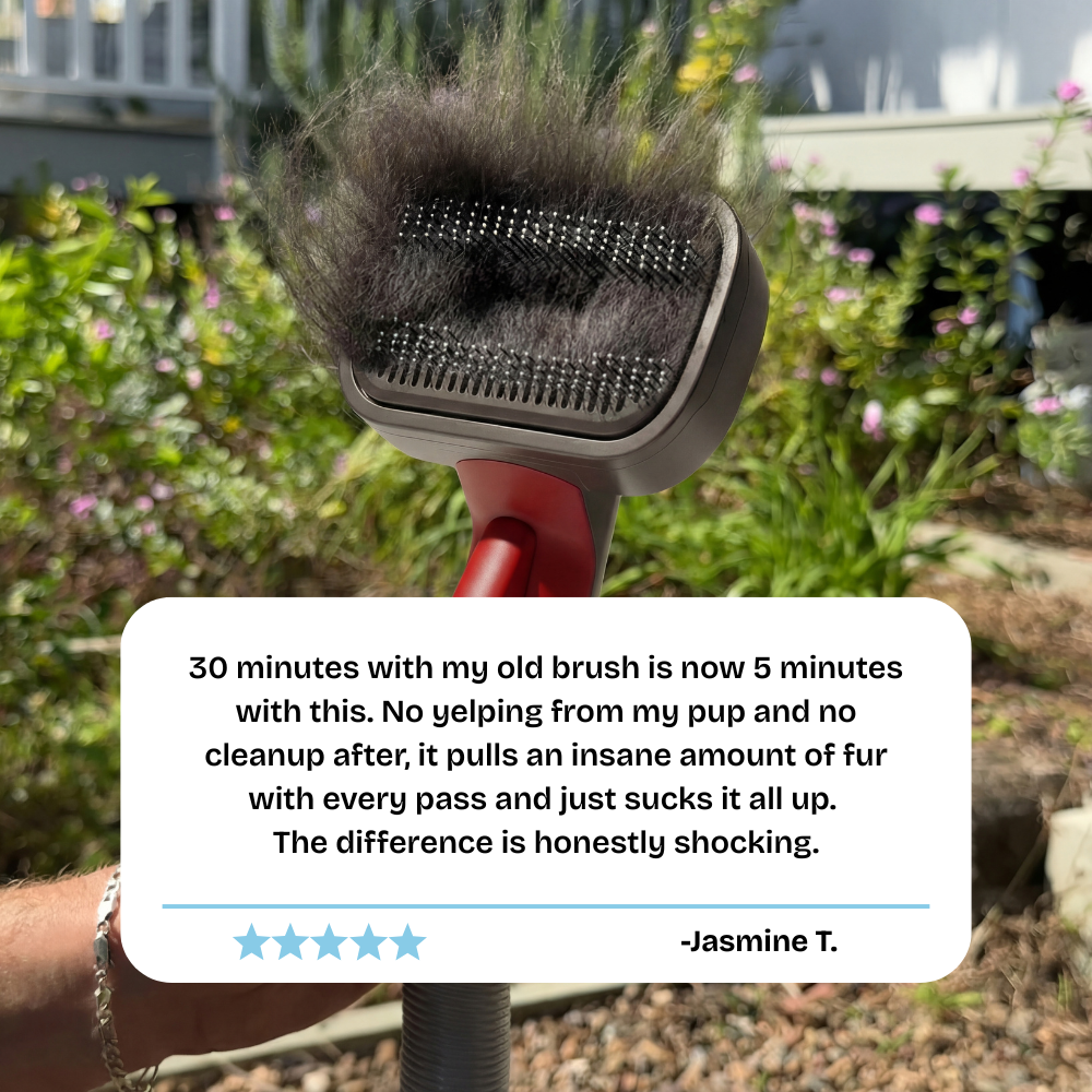 ShedLess™ Vacuum Grooming Brush