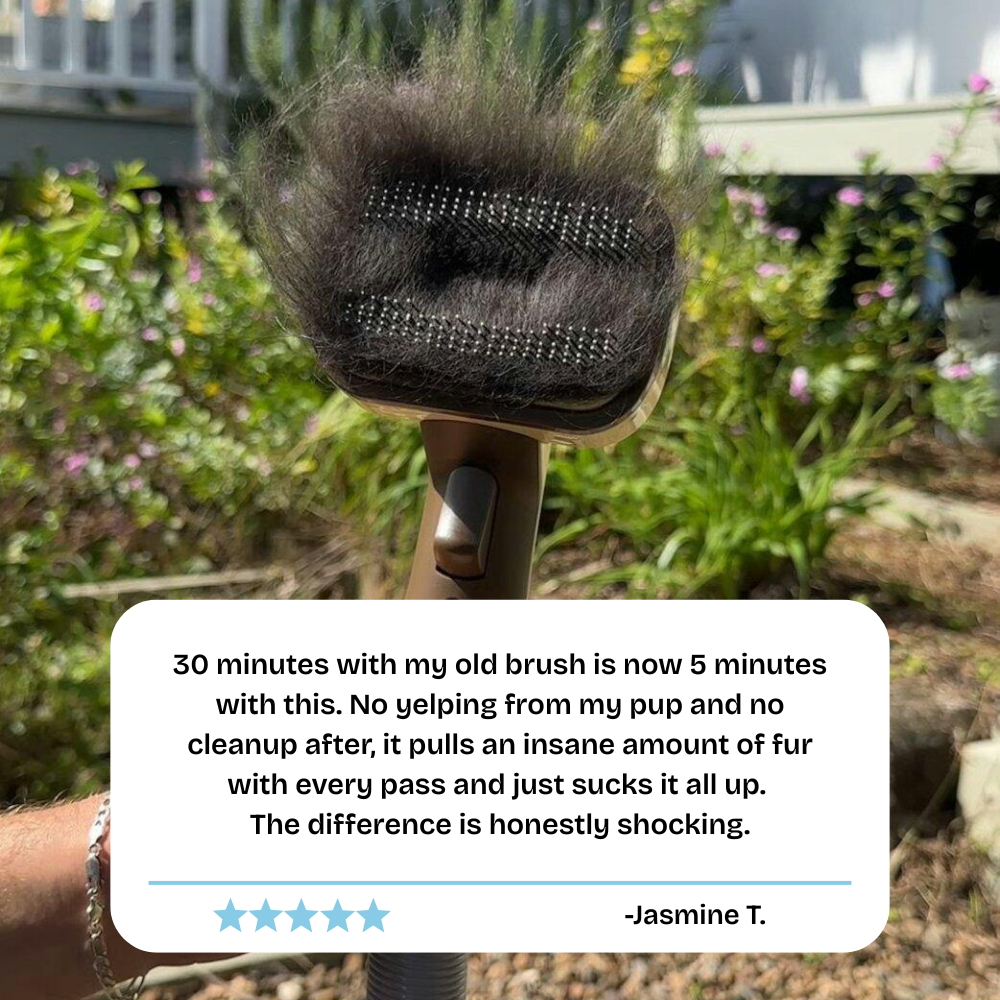 ShedLess™ Vacuum Grooming Brush