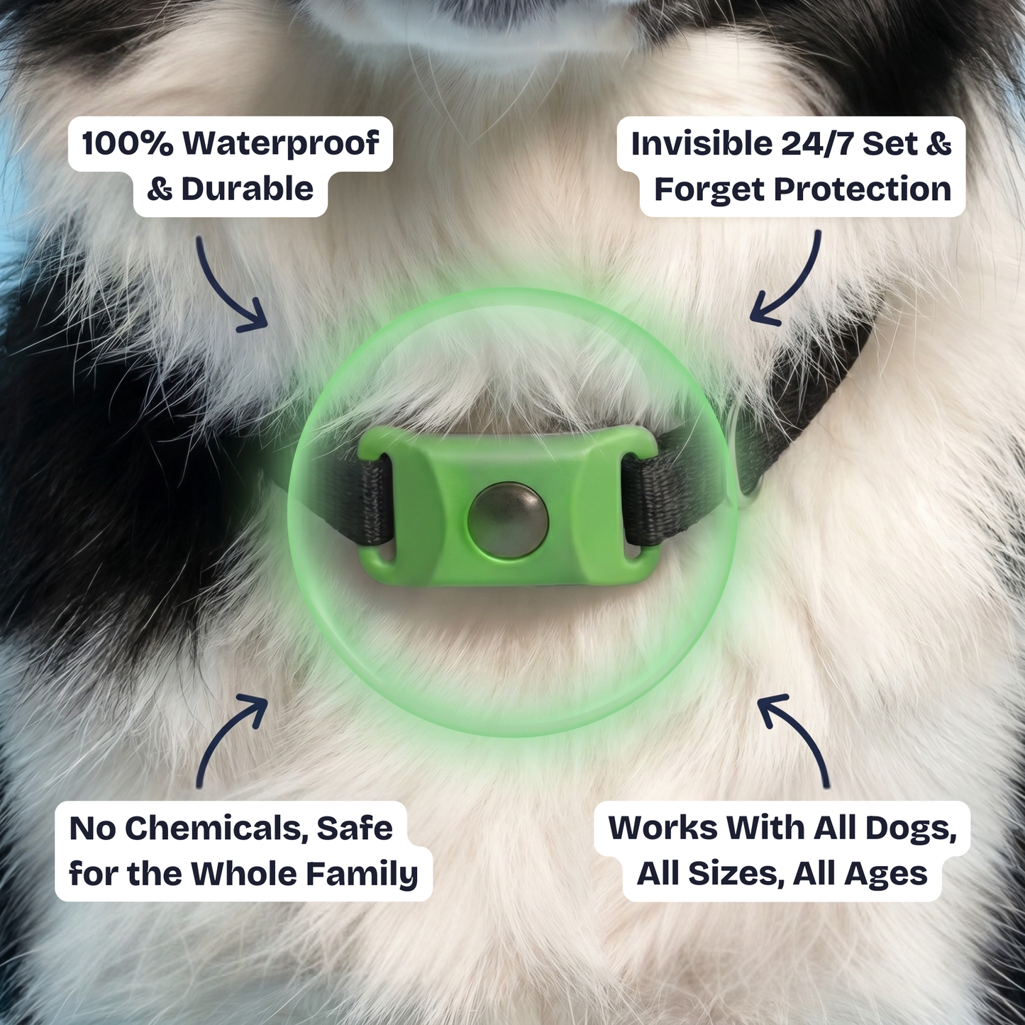 Furryfect Flea and Tick Pendant