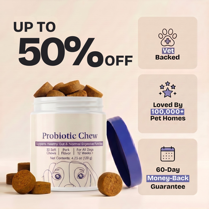 Daily Probiotic Chew - Gut & Digestive Health