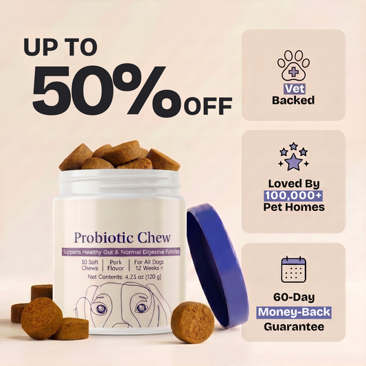 Daily Probiotic Chew - Gut & Digestive Health