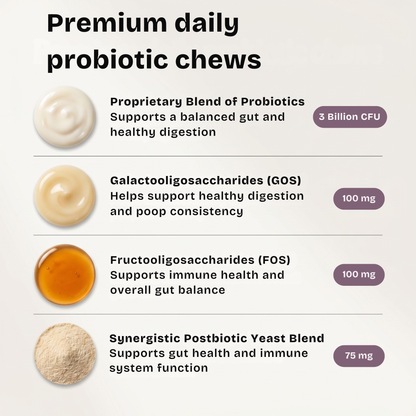 Daily Probiotic Chew - Gut & Digestive Health